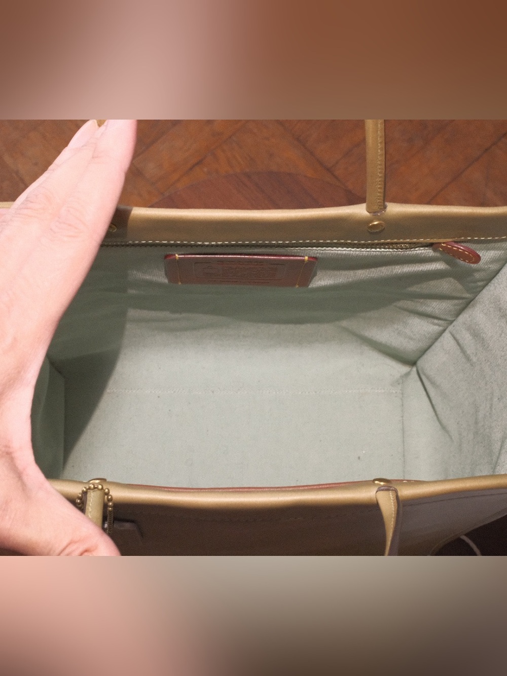 Coach Cashin vegetable dyed sage green Leather Tote. Limited edition - Picture 8 of 8